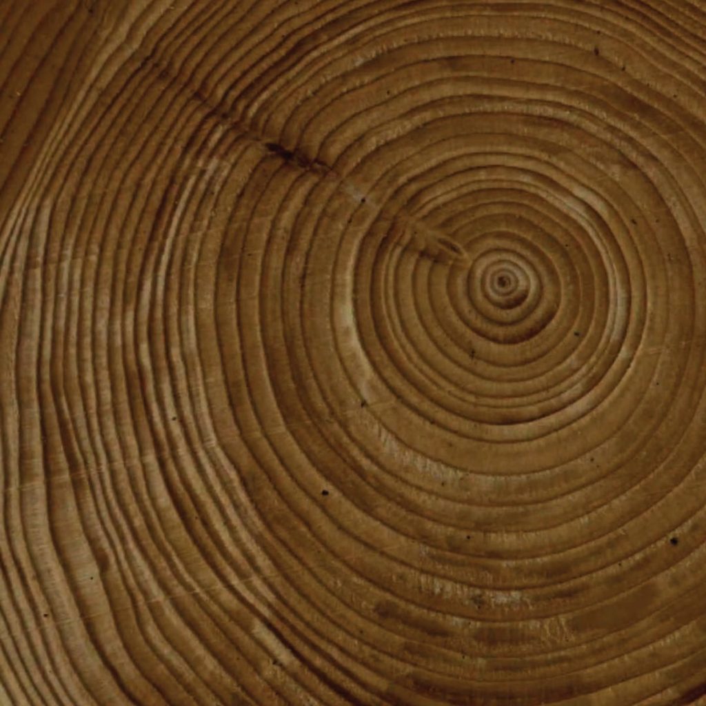 woodgrain rings square